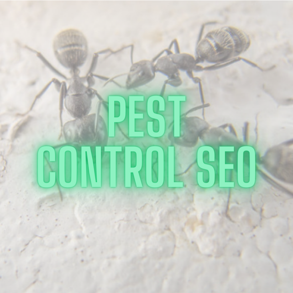 Pest control SEO processes